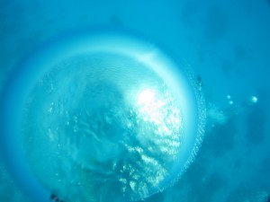 IMG_0003