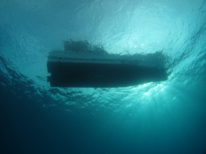 IMG_0013