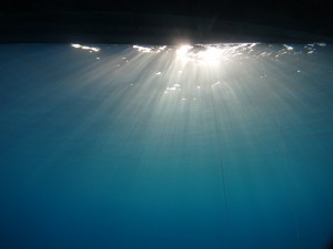 IMG_0019