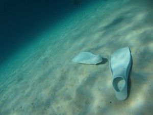 IMG_0036