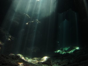 IMG_0084