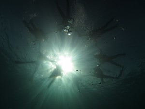 IMG_0174