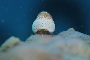 IMG_7074