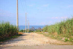 IMG_0435