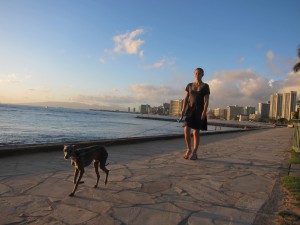 hawai gyarari-  (16)