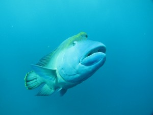IMG_3434