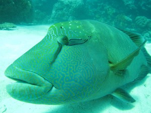 IMG_3708