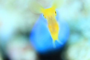 IMG_9947