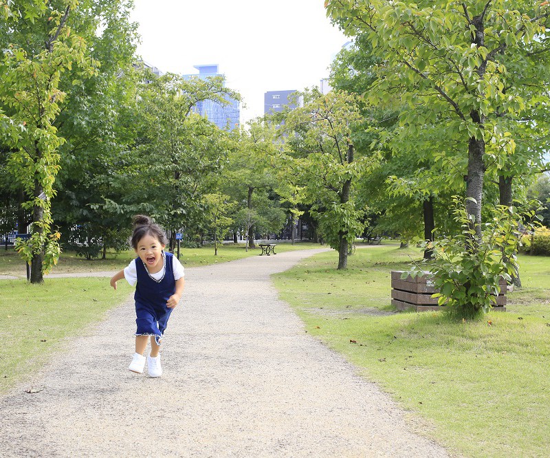 noritekenomori (1)