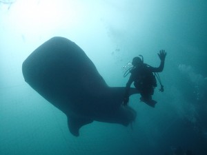 一期生沖縄本島 (30)