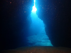 一期生沖縄本島 (37)