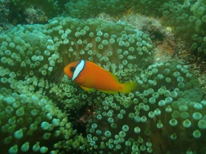 一期生沖縄本島 (44)