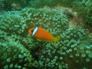 一期生沖縄本島 (44)