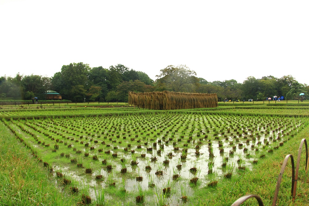 夏休み岡山編 (134)