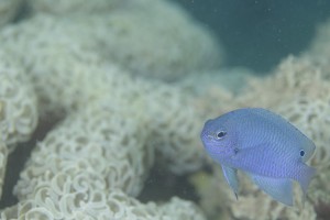 奄美ツアー (22)