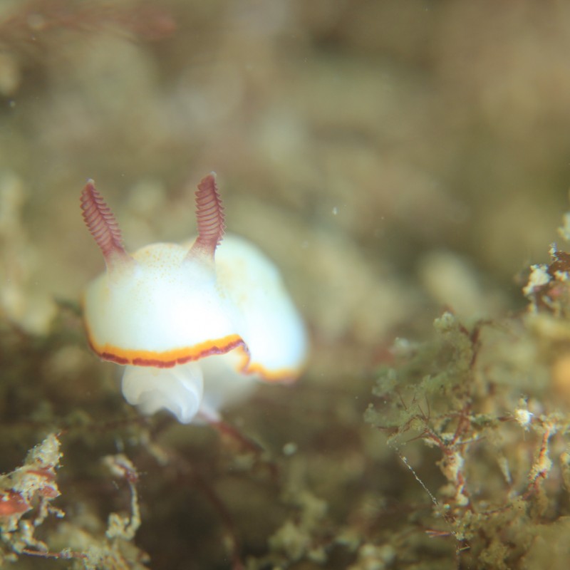 休みの方座浦2