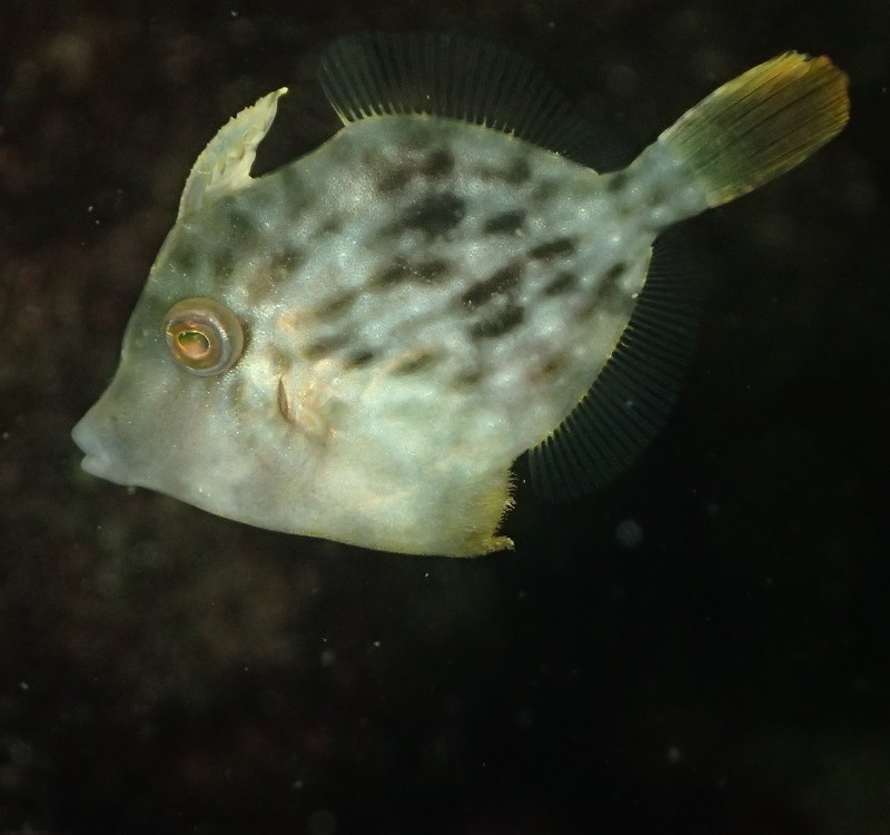 P7140086
