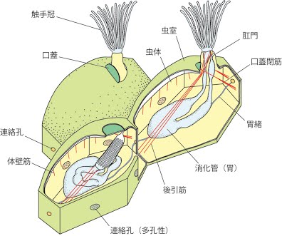 図e3