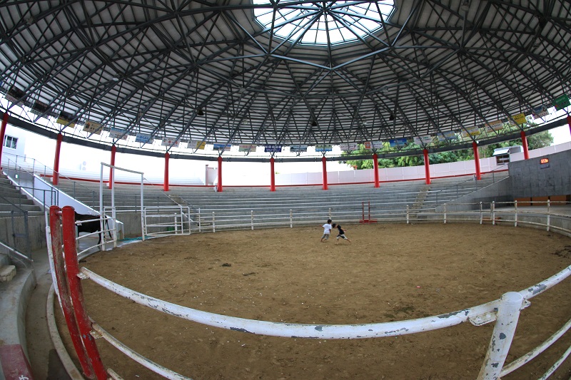 tokunonn (2)