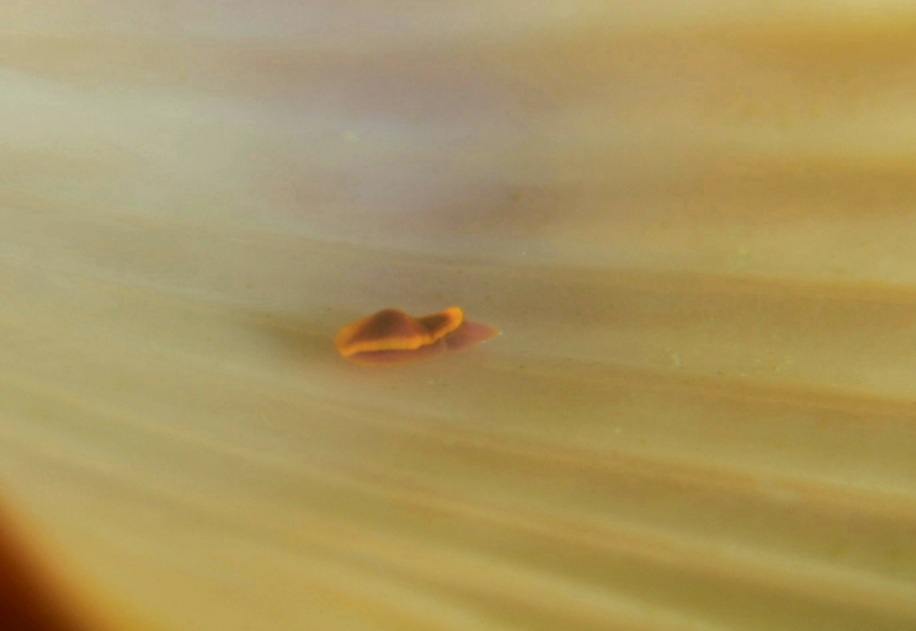 20210421_234944