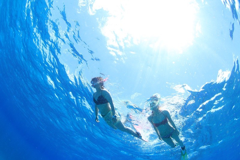 海