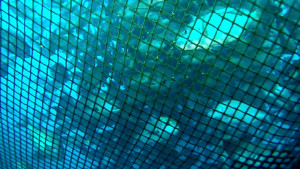 VideoCapture_20231207-201111