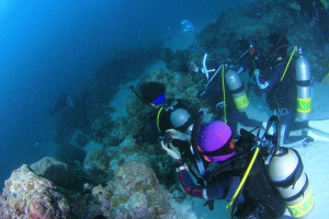 ②Palau (6)