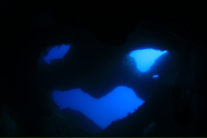 4505146288_IMG_8180