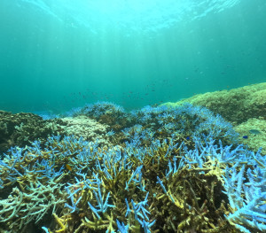 DCIM100GOPROGOPR4202.JPG