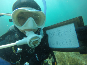 DCIM101GOPROGOPR6256.JPG