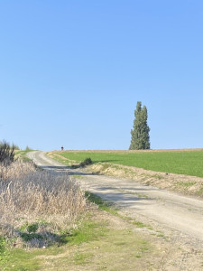 IMG_3096