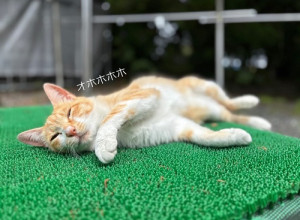scxw1FWJKVe5cWSCrWkAt2NENaHeAGnr_rMPmWIJNVsJ_wgL5Ww9hR1ha7nWdvejcub0PGBrpFaBR-AvnU98w81kcIp4IWycGtxDBNXPePCjhGzFYbEW3BPHpbeKBGWLjgTjgTGATm1_gXXKFHhmhg==