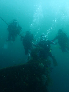 P8247568
