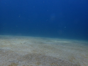 P8307582