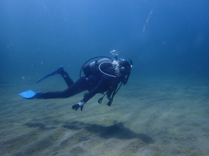 P8307584